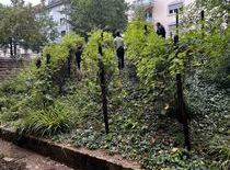 Gartenprojekt