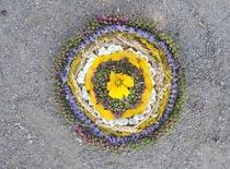 Kunst im Freien 